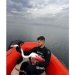 kocaeli-itfaiyesi-izmit-korfezinde-mahsur-kalan-yarali-flamingoyu-kurtardi-PT7r8FdK.jpg