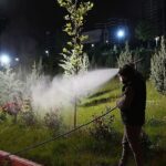 kecioren-belediyesi-ilce-genelinde-hasere-ve-sineklere-karsi-gece-gunduz-ilaclama-calismasi-yurutuyor-zmJgl6bW.jpg
