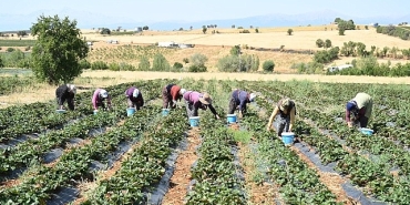 baskan-altay-tarimin-her-alaninda-ureticimizin-yaninda-olmaya-devam-edecegiz.jpg
