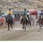 turkiyenin-en-basarili-atlari-menemende-yarisacak.jpg